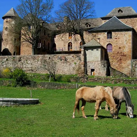 לינה וארוחת בוקר Chateau De Salelles *